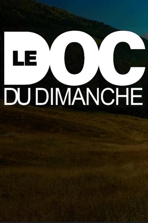 Le Doc du dimanche (2008) poster