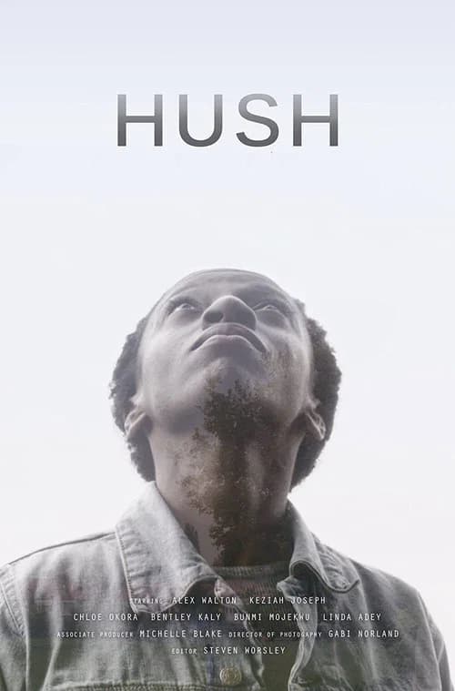 Hush poster
