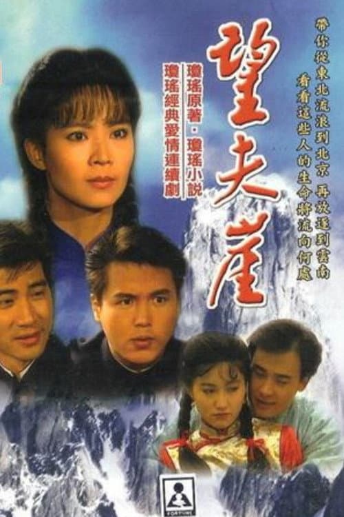 望夫崖 (1991) poster