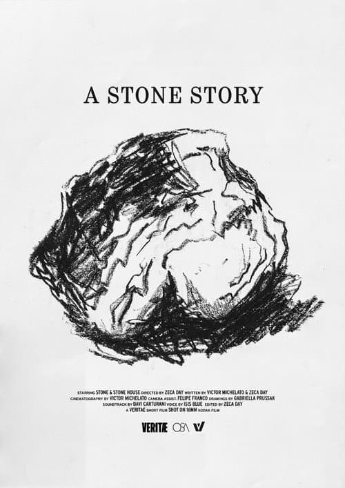 A Stone Story poster
