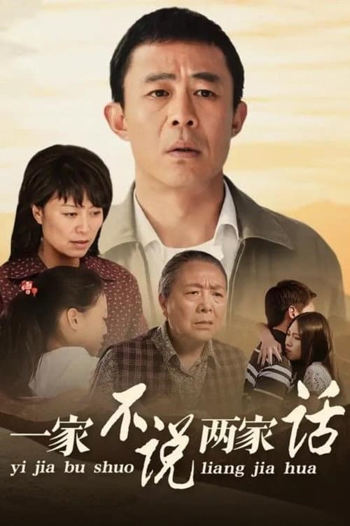 一家不说两家话 (2010) poster