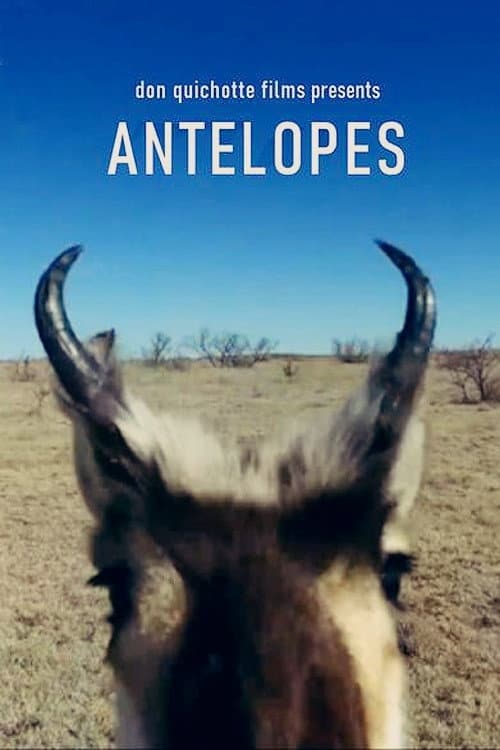 Antelopes (2020) poster