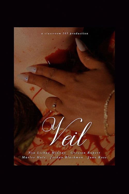 Veil (2025) poster