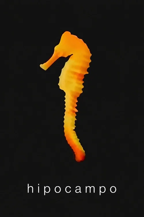 Hippocampus poster