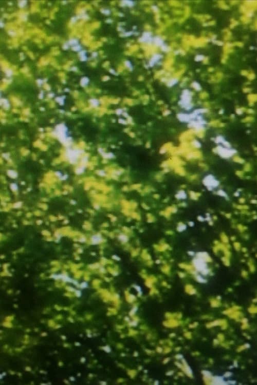 Green Leaves poster
