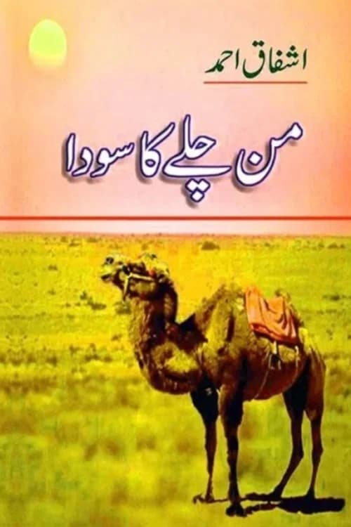 من چلے کا سودا poster