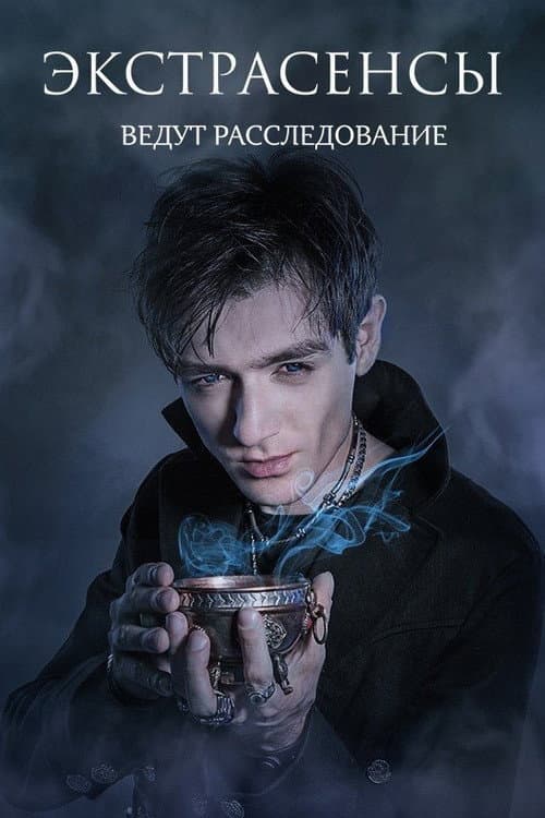 Psychics Are Investigating (2011) poster