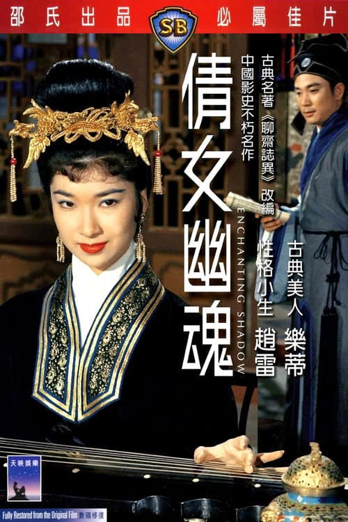 The Enchanting Shadow (1960) poster