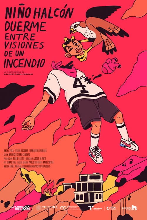 Hawk Boy Sleeps Amidst Visions of a Fire (2024) poster