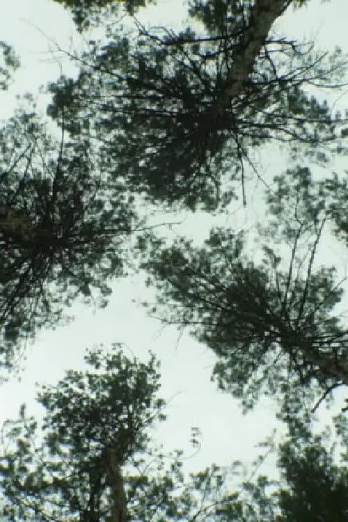 Nature_Nature (2018) poster
