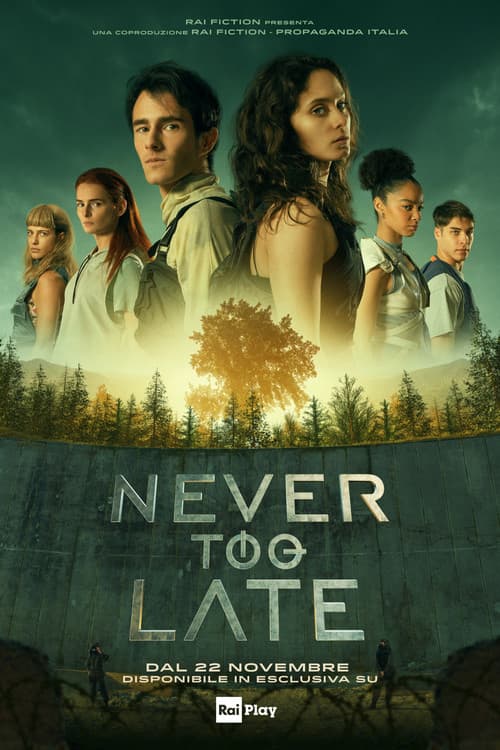 Never Too Late (2024) poster