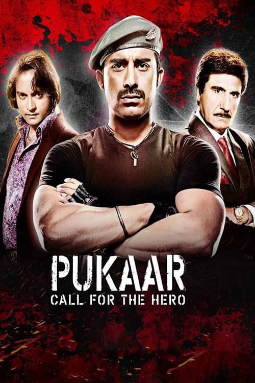 Pukaar: Call for the Hero (2014) poster