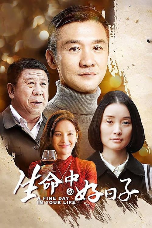 生命中的好日子 (2016) poster