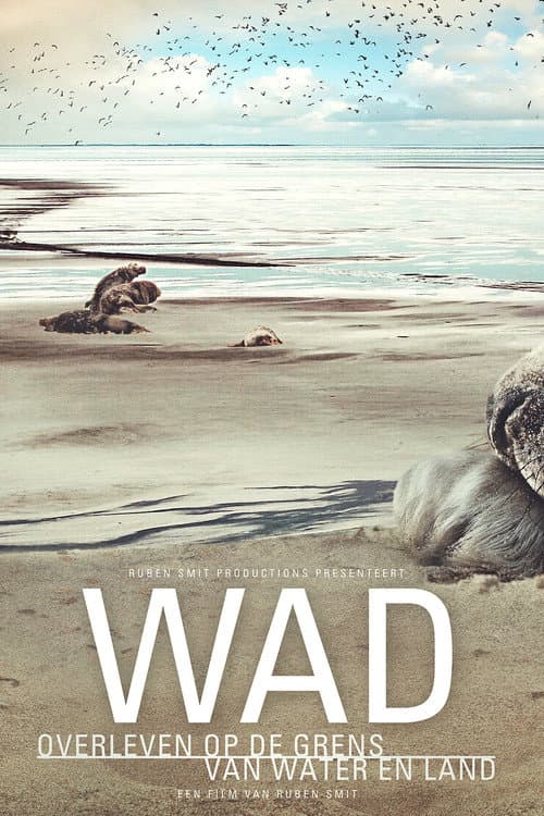 The Wadden Sea (2020) poster