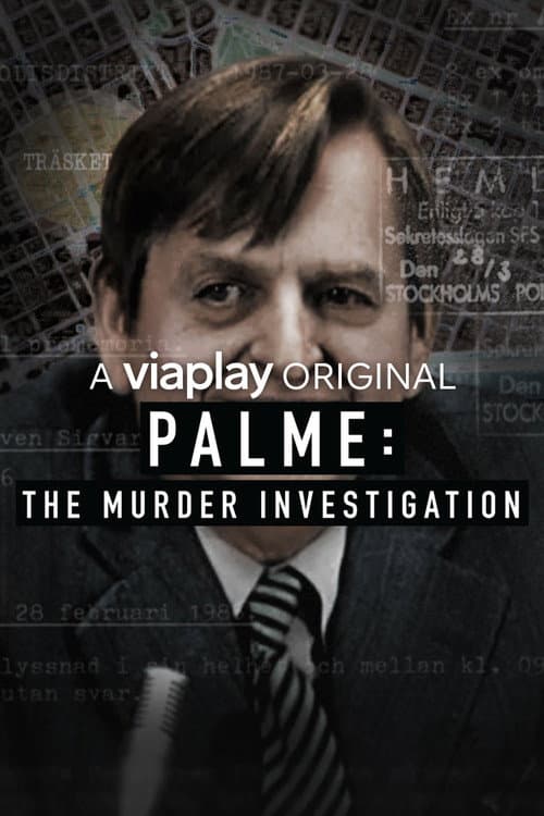 Palme: The Murder Investigation (2018) poster