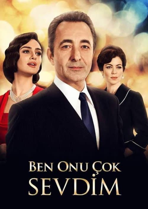 Ben Onu Çok Sevdim (2013) poster