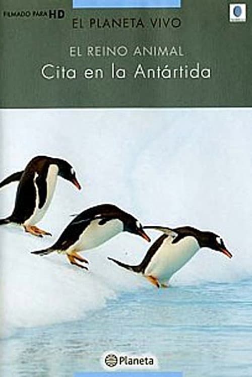 Rush Hour in Antarctica poster