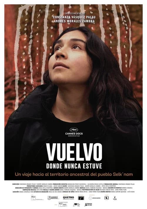 Returning Where I Have Never Been poster