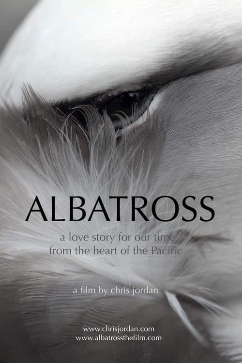 Albatross poster