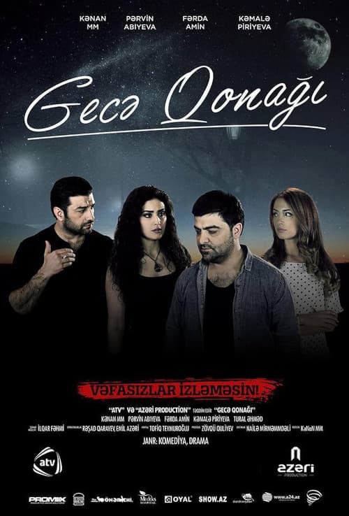 Night Guest poster