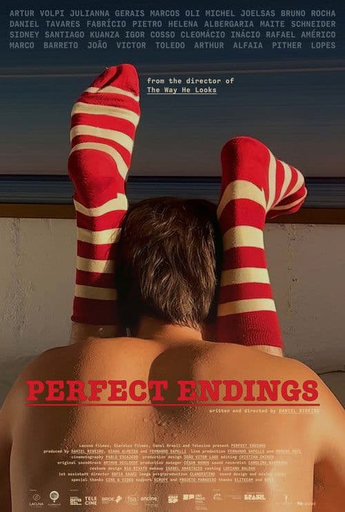Perfect Endings (2024) poster