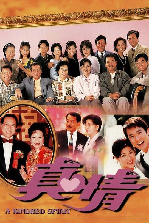 A Kindred Spirit (1995) poster