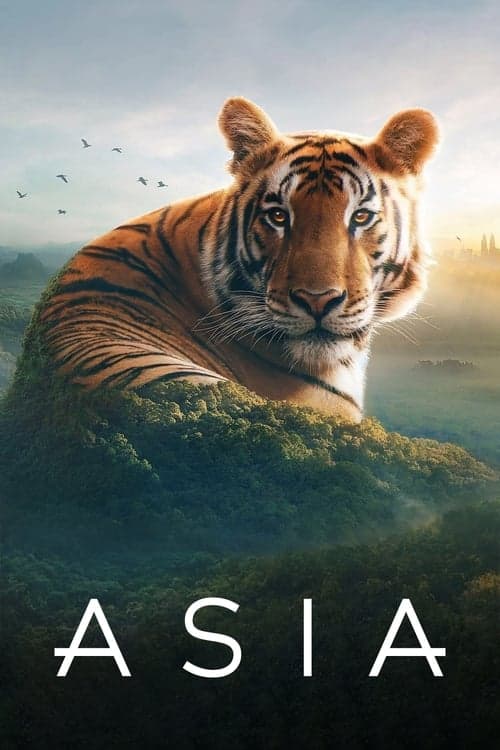Asia (2024) poster