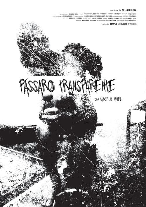 Pássaro Transparente poster