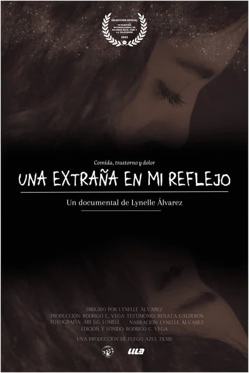 A stranger in my reflection poster