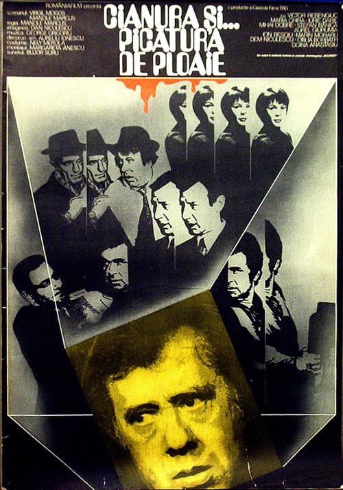 The Cyanide and the Raindrop (1978) poster