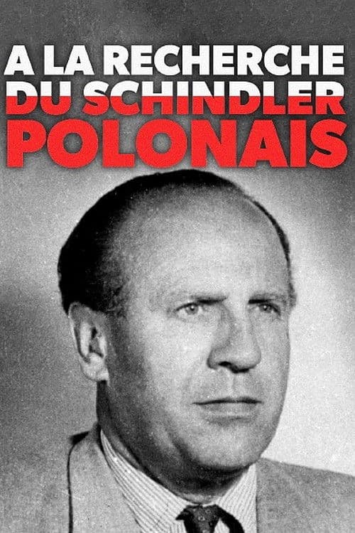 À la recherche du Schindler polonais poster