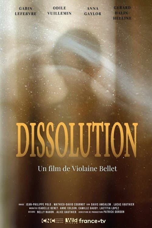 Dissolution (2020) poster