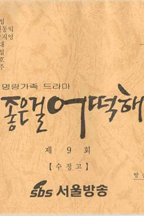 좋은걸 어떡해 (1994) poster
