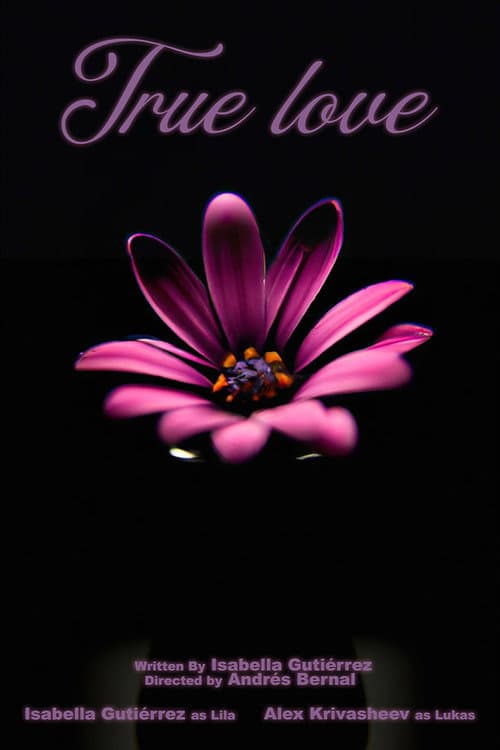 True Love (2024) poster