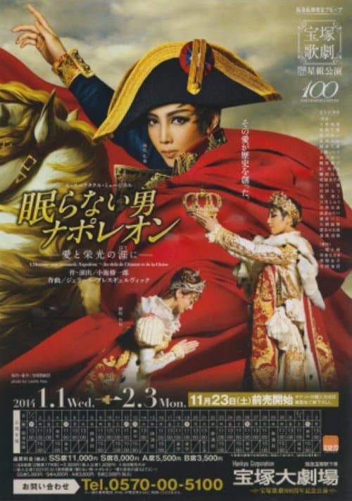 Napoléon, the Man Who Never Sleeps ~At the End of His Love and Glory~ poster