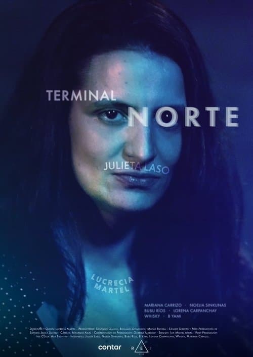 North Terminal (2022) poster