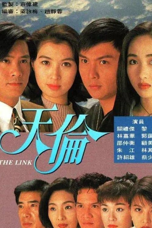 The Link (1993) poster