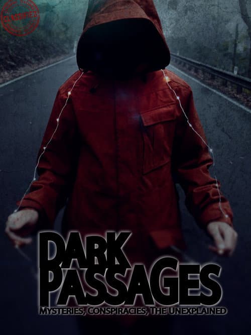 Dark Passages (2021) poster