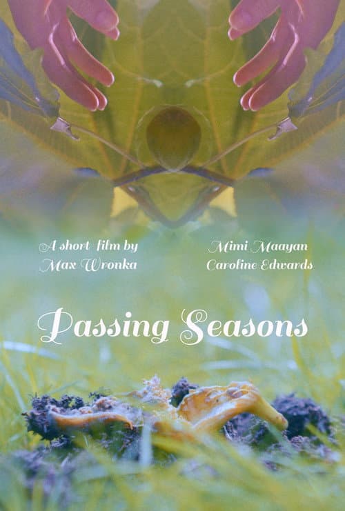 Passing Seasons poster