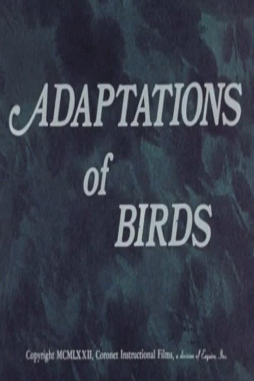 Adaptations of Birds poster
