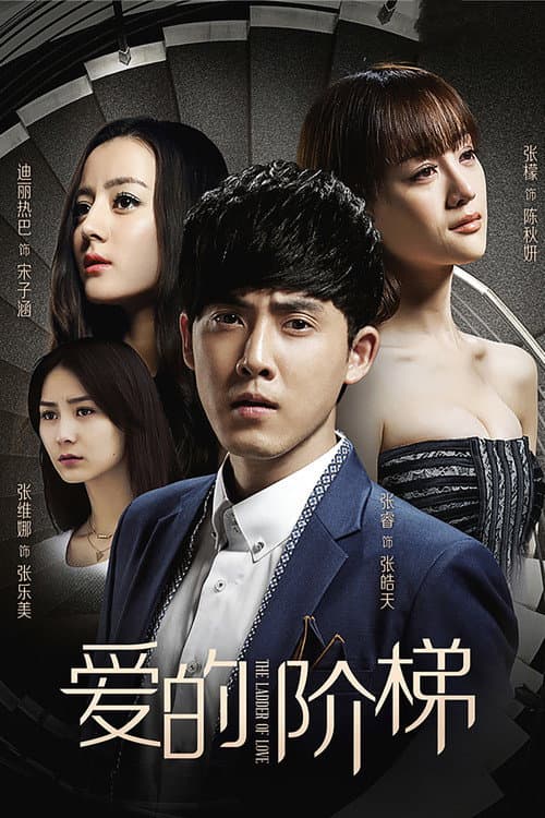 The Ladder of Love (2016) poster