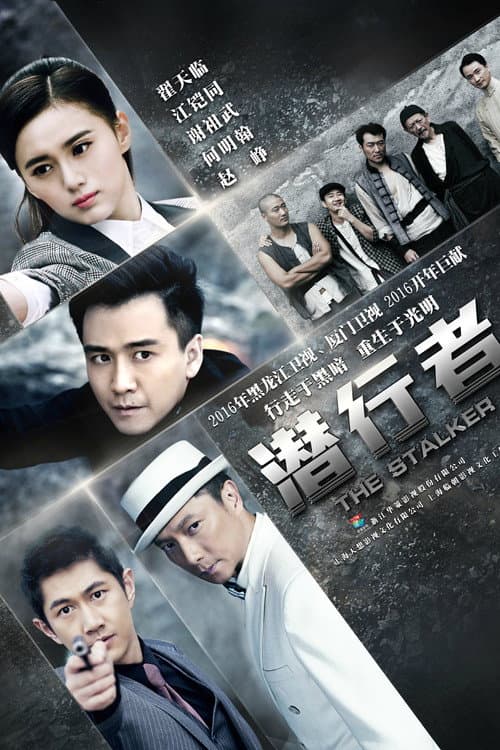 The Stalker poster