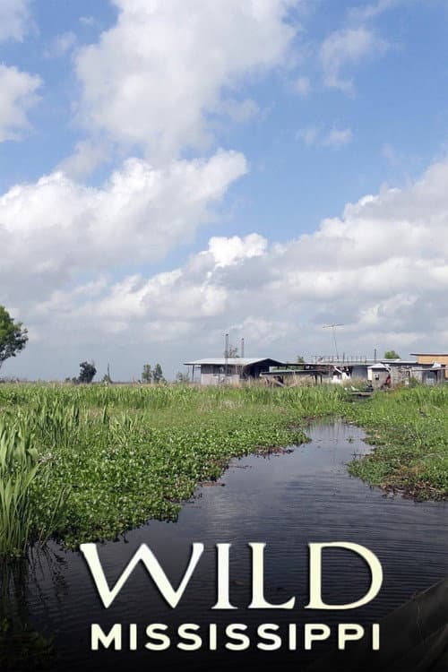 Wild Mississippi (2012) poster