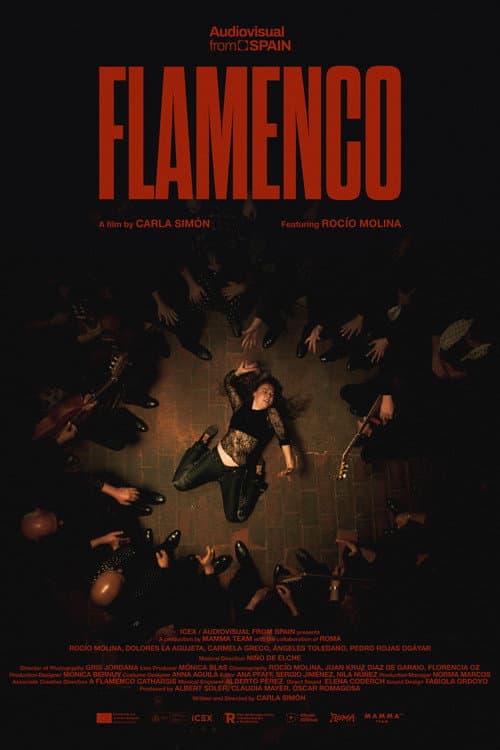 FLAMENCO poster