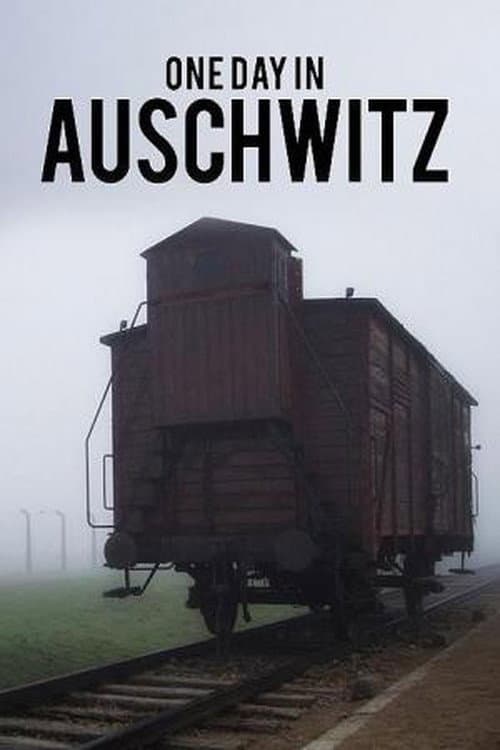 Auschwitz - One Day (2020) poster