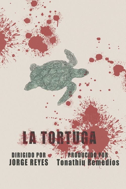 The Turtle (2025) poster