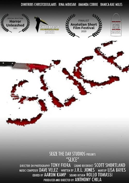 Slice (2020) poster