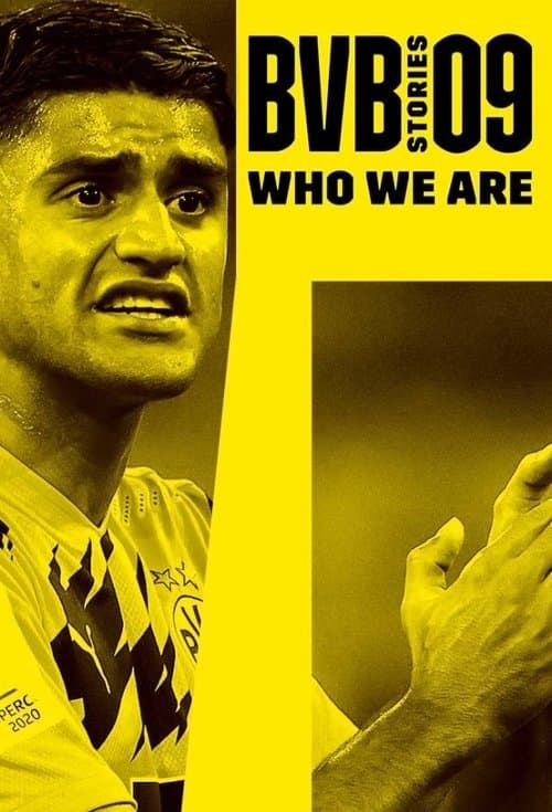 BVB 09 - Stories Who We Are (2020) poster