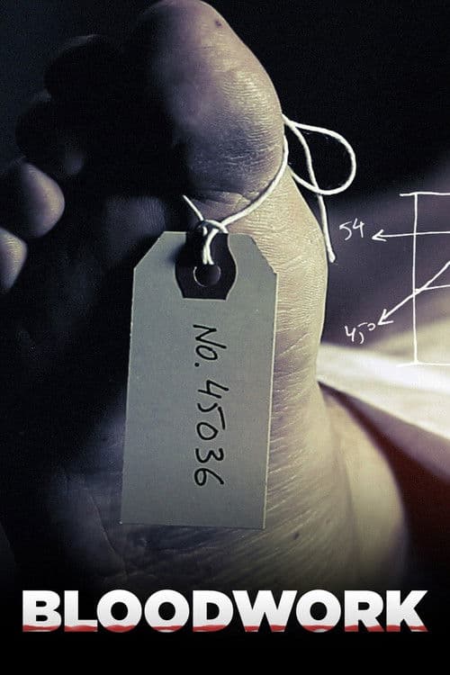 Bloodwork (2011) poster