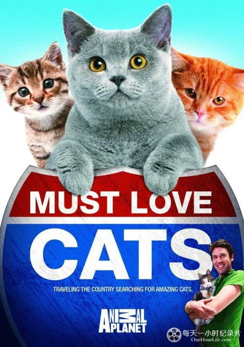 Animal Planet: Must Love Cats (2011) poster